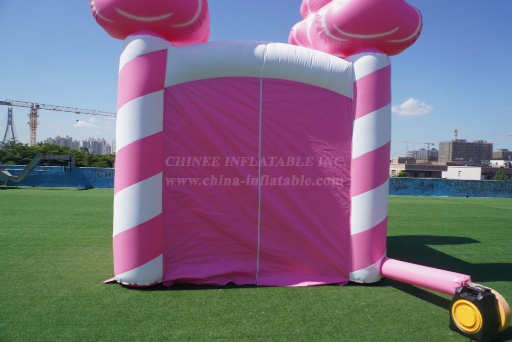 Tent1-362 Candy Inflatable Pavilion