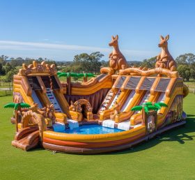 Pool3-481 Kangaroo Theme Pool Water Park