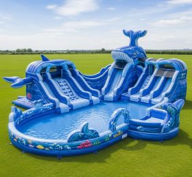 Pool3-545 Whale Theme Pool Water Park
