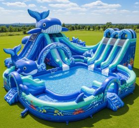 Pool3-546 Whale Theme Pool Water Park