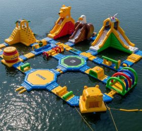 S343 Winnie the pooh Theme Water Park