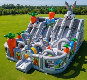 T6-6493 Looney Tunes Theme Inflatable Funcity