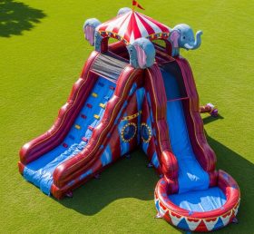 T8-5494 Circus Theme Inflatable Water Slide