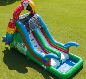 T8-5734 Parrot Theme Inflatable Water Slide