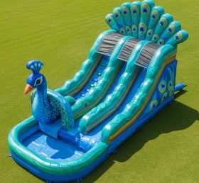 T8-5738 Peacock Theme Inflatable Water Slide