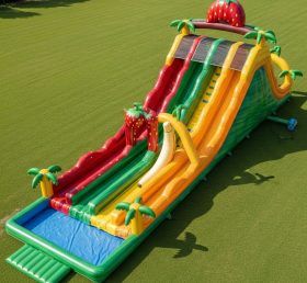 T8-8997 Fruit Theme Inflatable Water Slide